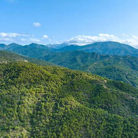 Luxury Marbella شقة إِستيبونا